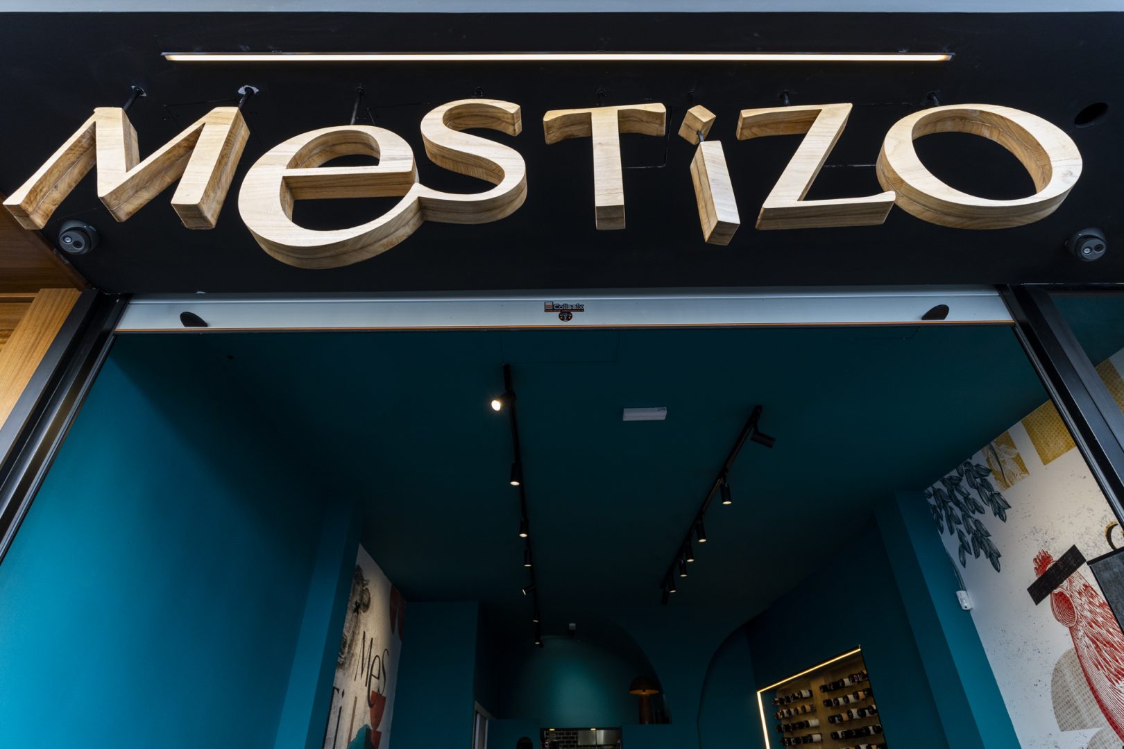 H3D-MESTIZO-4 H3D-MESTIZO-4